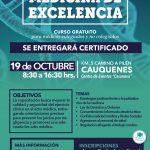 Afiche-25-CME-CAUQUENES