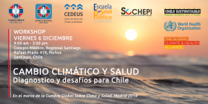 Taller Cambio Climático y Salud - Diagnóstico y Desafíos para Chile @ Colegio Médico Santiago