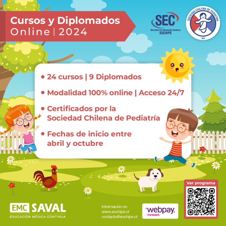 SOCHIPE: Cursos y Diplomados Online 2024