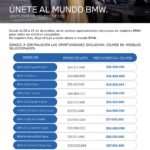 19 Gráfica BMW