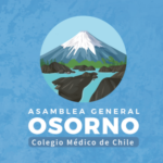 Banner chico – Asamblea Osorno