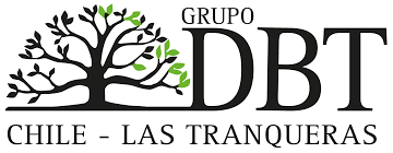 DBTCHILE